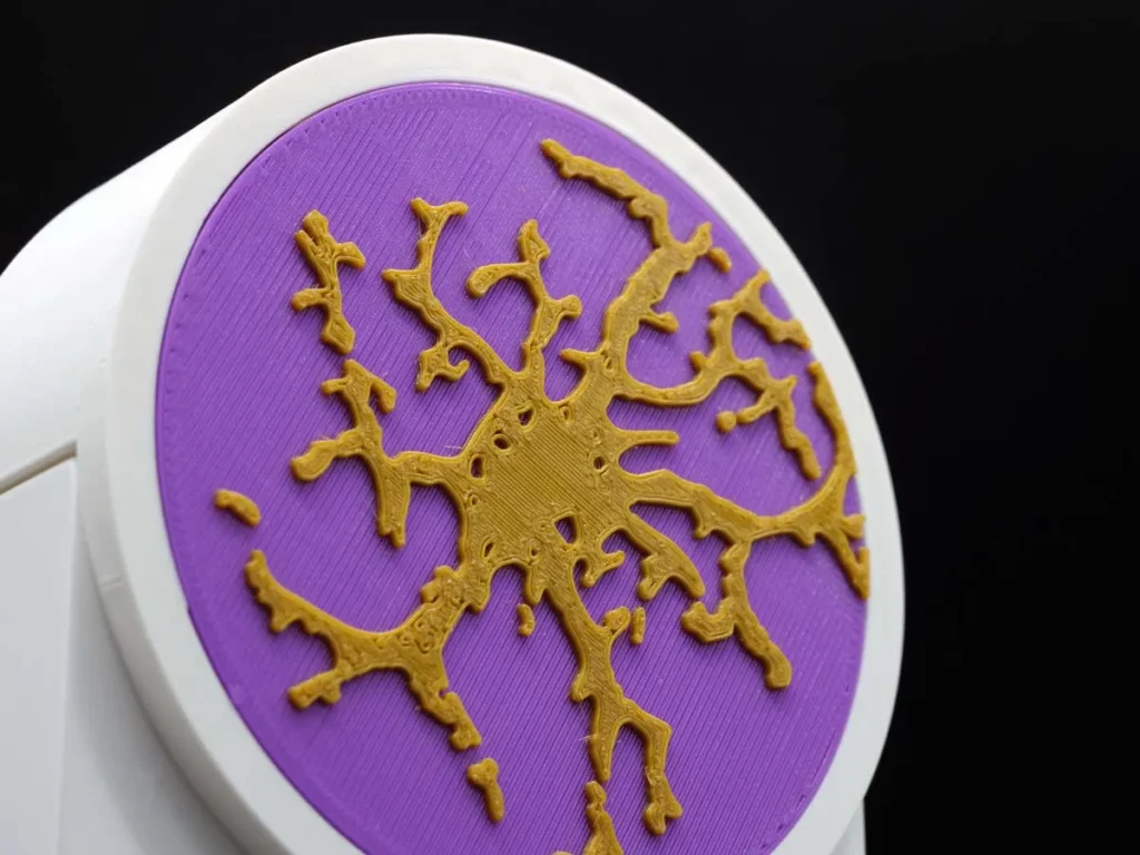 Placa Conmemorativa Detalle - Agradecimiento IBSAL Instituto de Investigación Biomédica de Salamanca