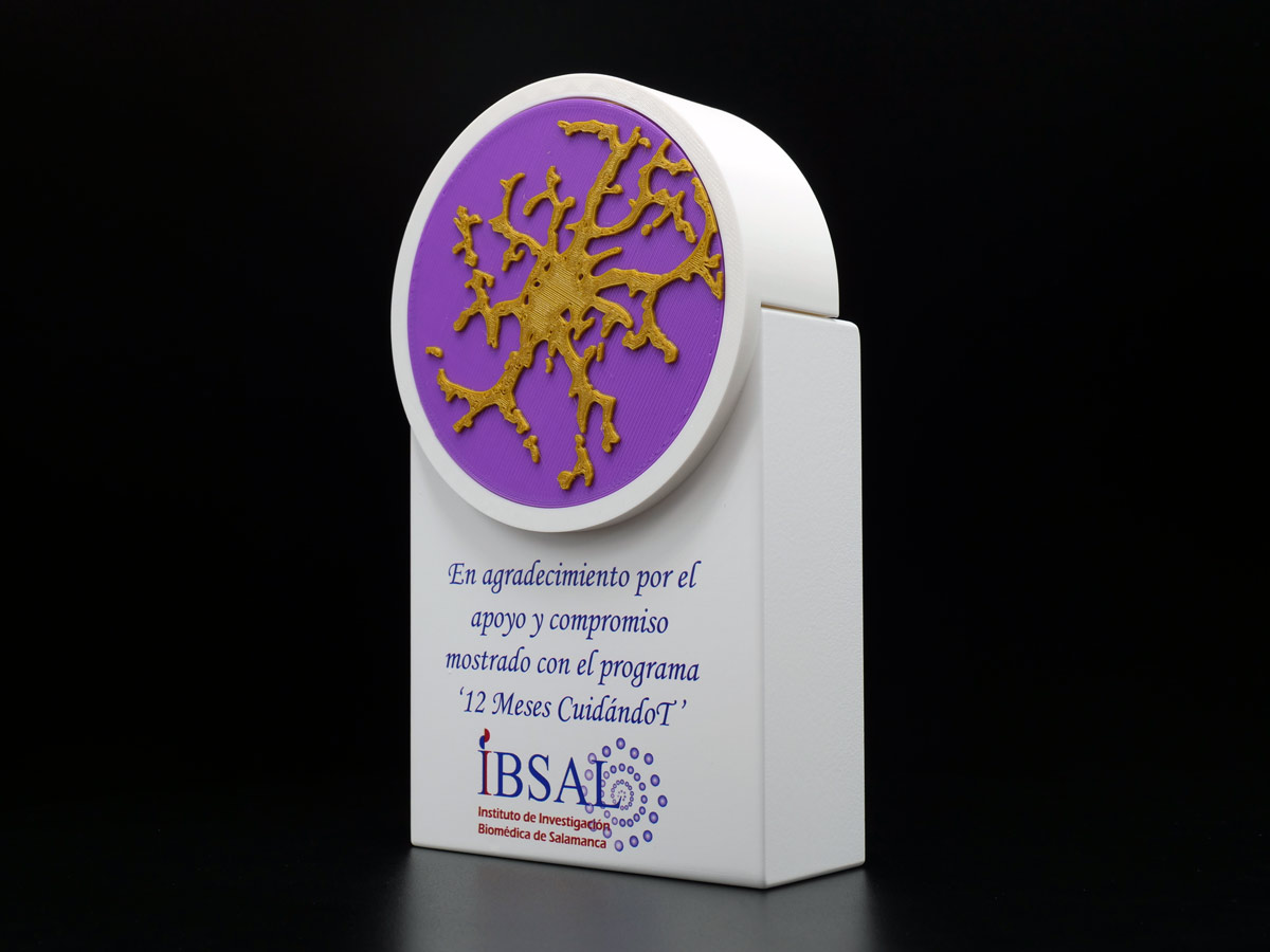 Placa Conmemorativa Lateral - Agradecimiento IBSAL Instituto de Investigación Biomédica de Salamanca