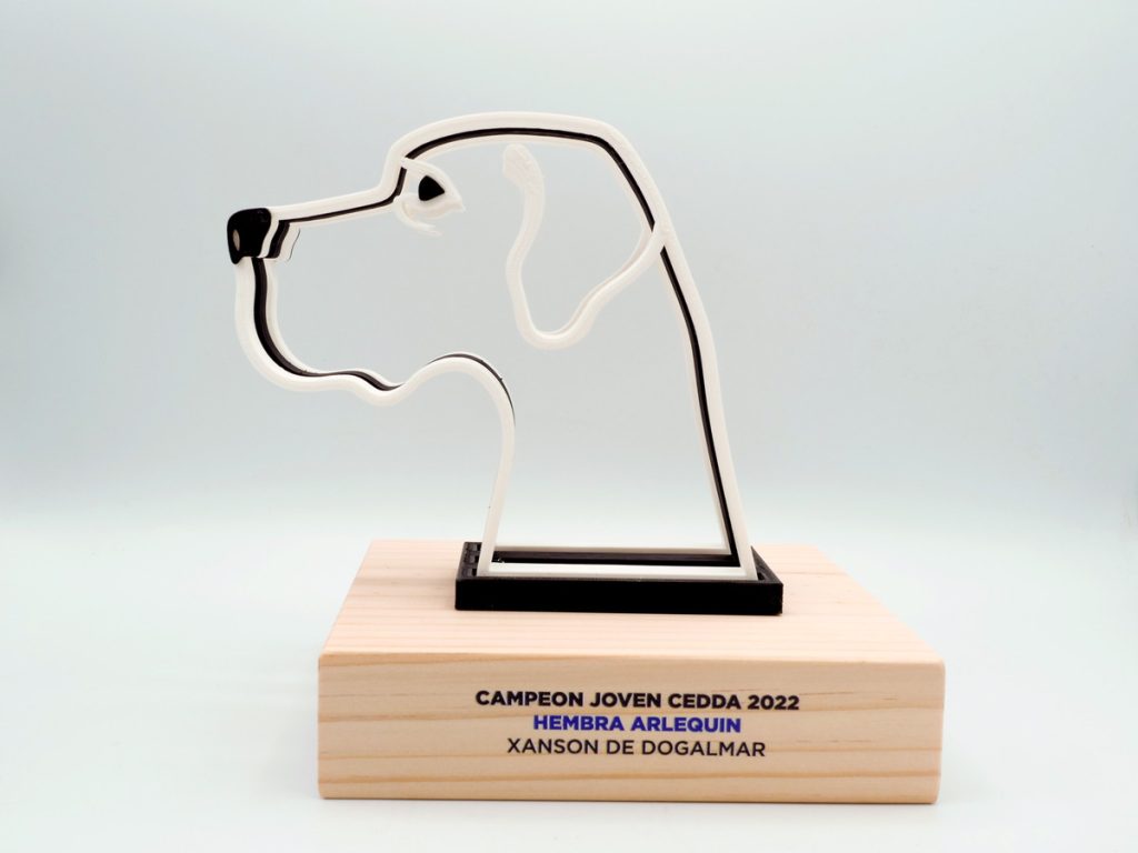 Trofeo Personalizado - Hembra Arlequín Campeón Joven CEDDA 2022